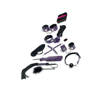 Jeu Master and Slave kit BDSM
