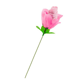 Rose slip rose XS-XL à ne pas tremper dans l'eau