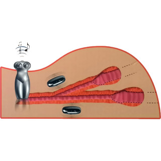 Masturbateur fessier vibrant Passion Lady