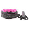 Collier et laisse rose et noir