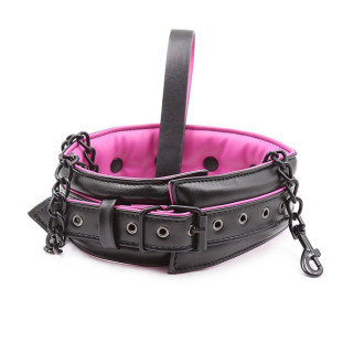 Collier et laisse rose et noir posés