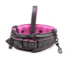 Collier et laisse rose et noir posés