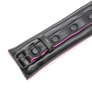 Collier et laisse rose et noir gros plan fermeture à boucle