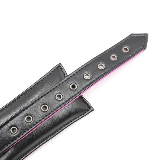 Collier et laisse rose et noir attaches solides