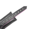 Collier et laisse rose et noir attaches solides