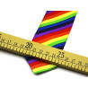 Cravate Arc-en-Ciel LBGT largeur