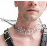 Collier Torquator Chrome