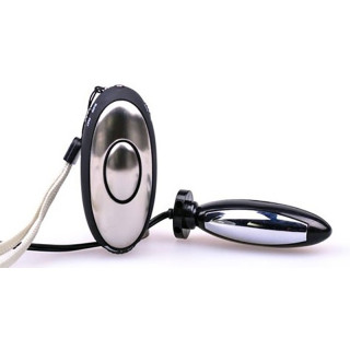 Plug anal Électro