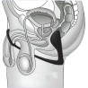 Plug Cockring C&B point P fonctionnement