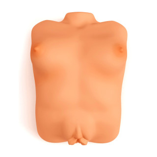 Mini buste Real Boobs + Pussy