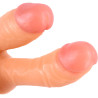 Double gode COX 13xØ3,5cm glands réalistes